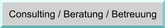Consulting / Beratung / Betreuung